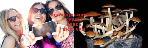 прущий лед Нефтекумск