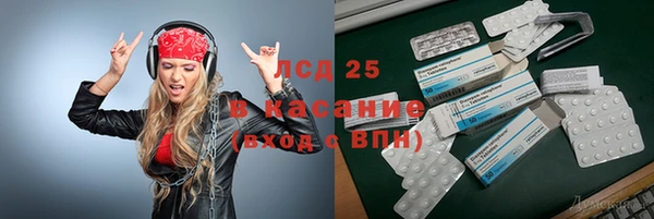 шишки Наволоки