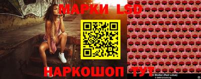 твердый Гатчина