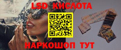 сатива Гагарин