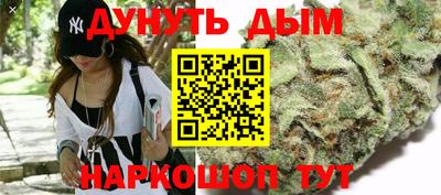 сатива Гагарин