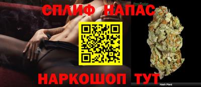 прущий лед Гай