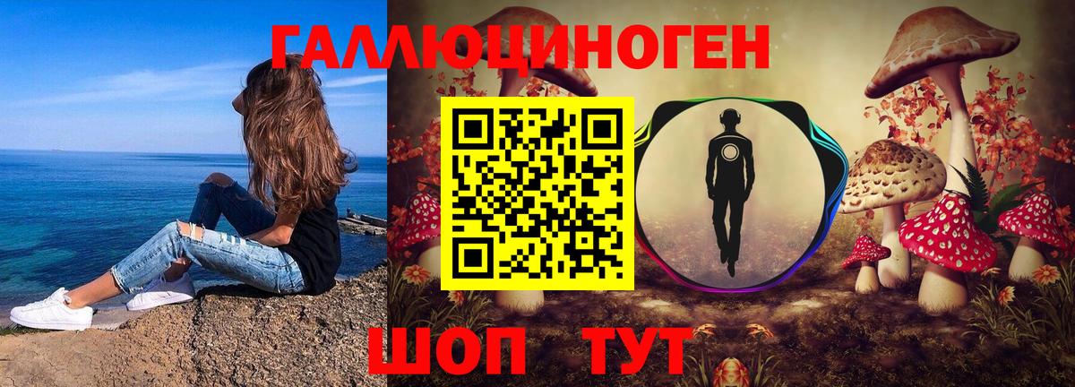 Псилоцибиновые грибы GOLDEN TEACHER Ейск