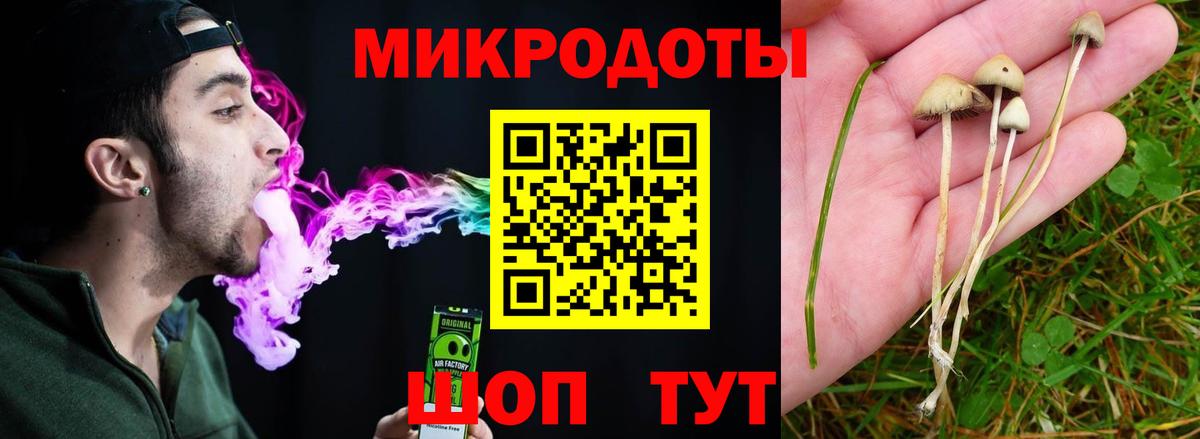 Псилоцибиновые грибы прущие грибы  Вход с VPN  Ейск 